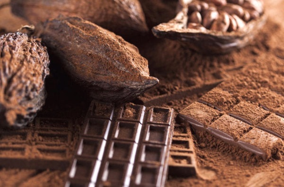 The World of Compound Chocolate: A Market Overview in Bite-Sized Pieces
